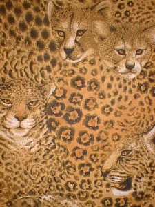 Gepard